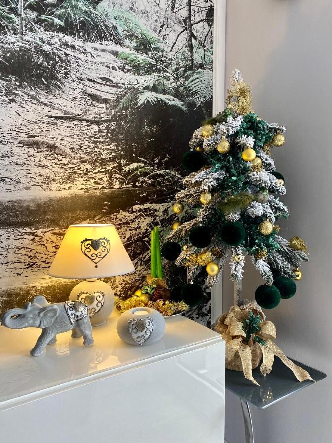 Apartament Dzika Paproc Szczawnica Esterno foto