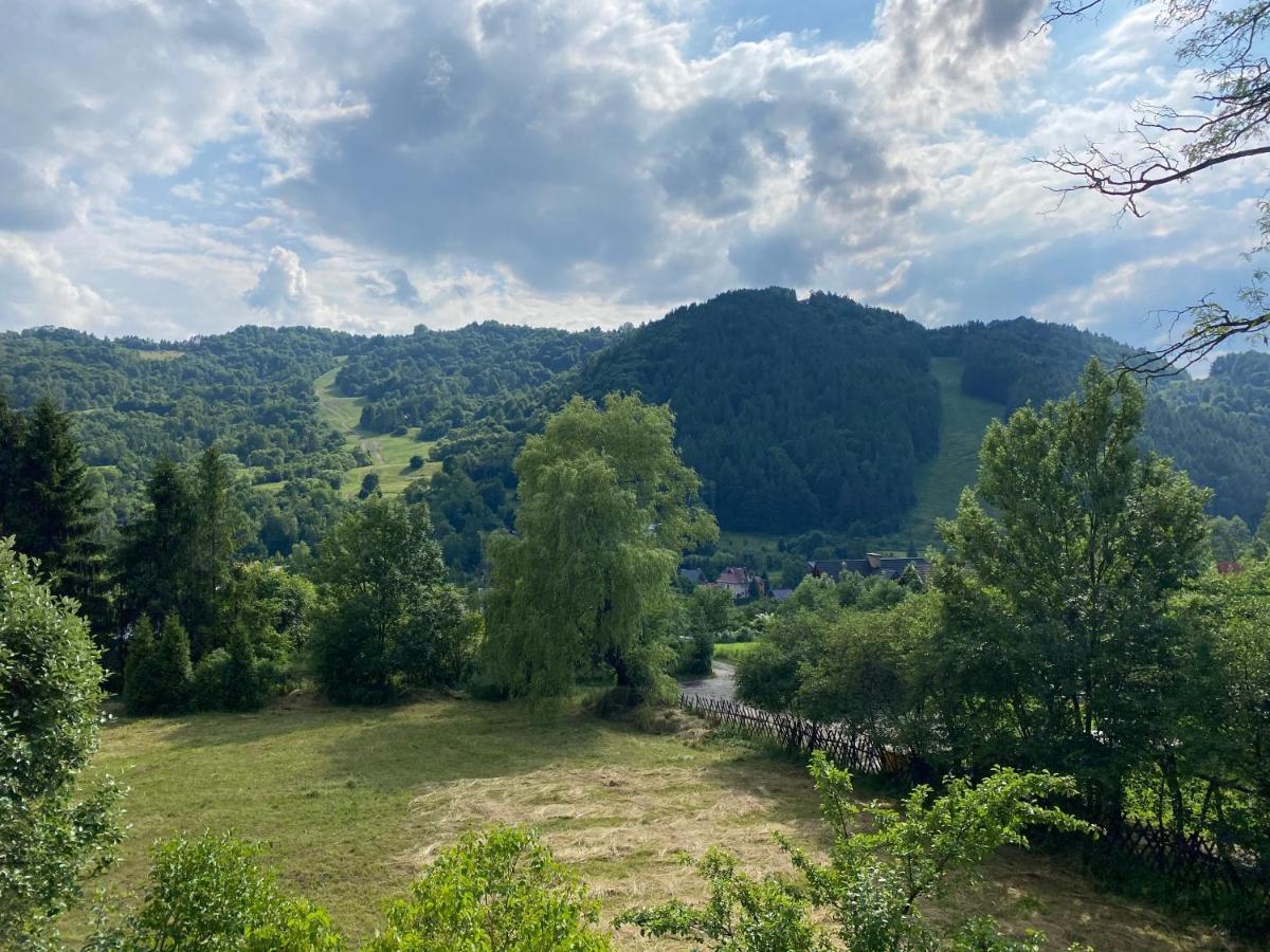 Apartament Dzika Paproc Szczawnica Esterno foto