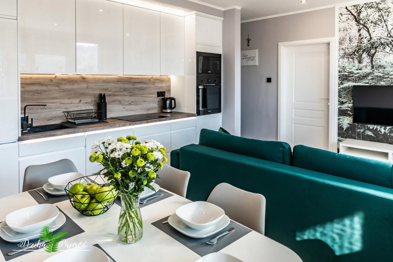 Apartament Dzika Paproc Szczawnica Esterno foto