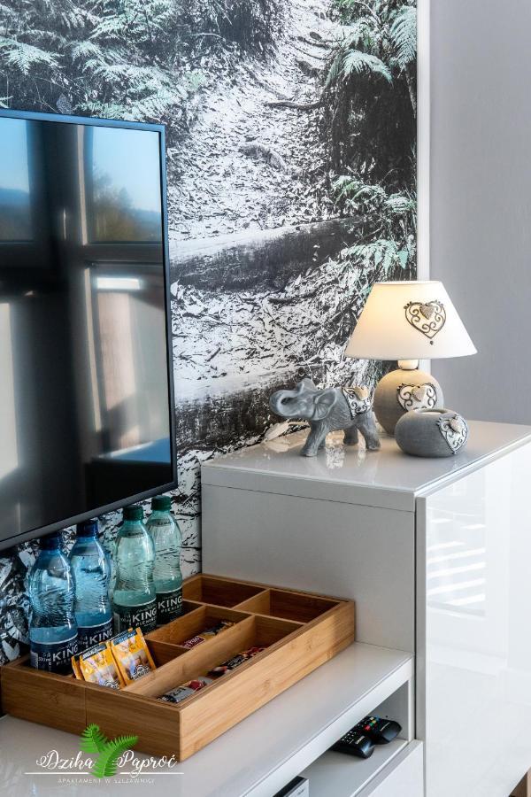 Apartament Dzika Paproc Szczawnica Esterno foto