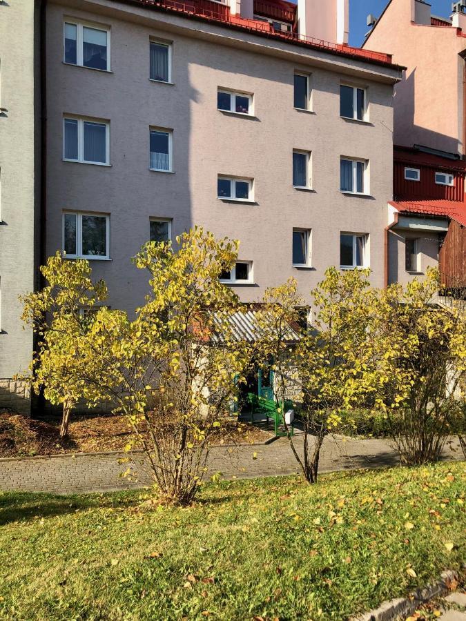 Apartament Dzika Paproc Szczawnica Esterno foto